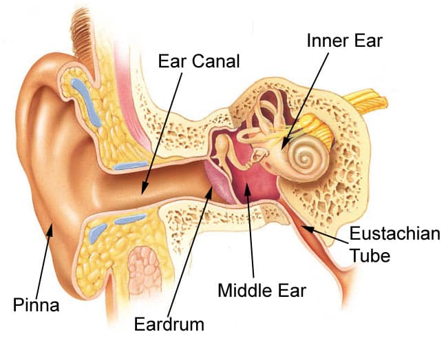 microsuction the ear luxe clinic