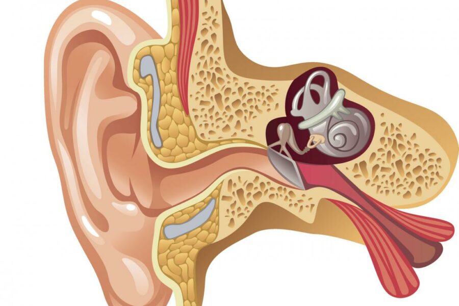 Eustachian Tube Dysfunction